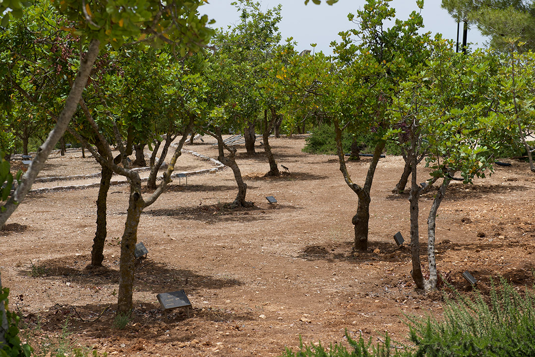 יד ושם, 2014